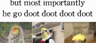 doot+doot