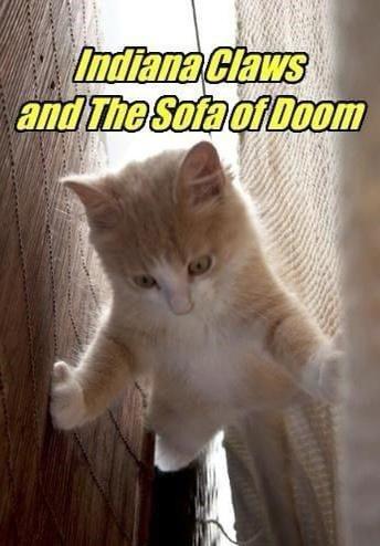 they%26%238217%3Bve+finally+gone+too+far