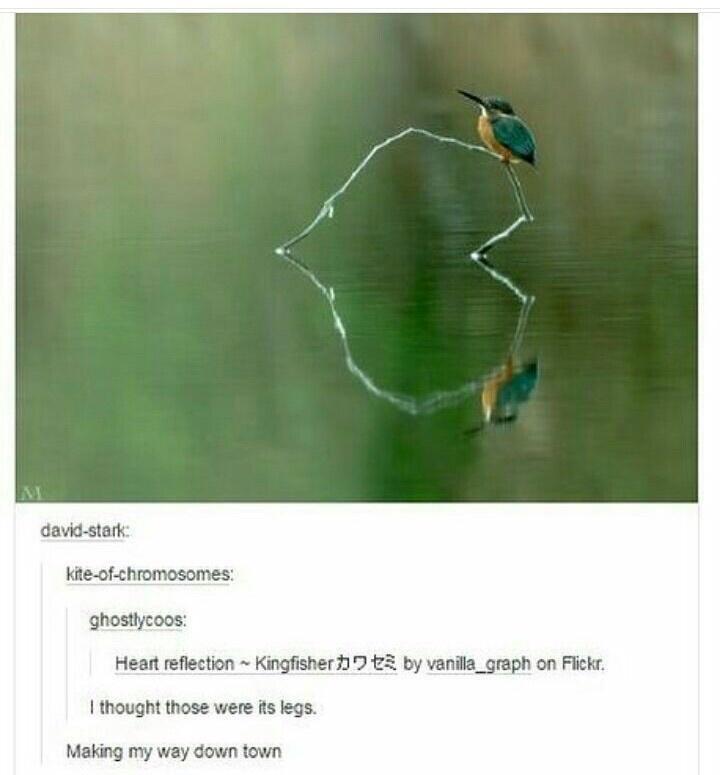 those+aren%26%238217%3Bt+legs%3F