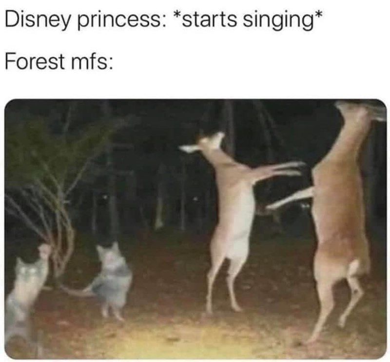 they+can%26%238217%3Bt+help+themselves