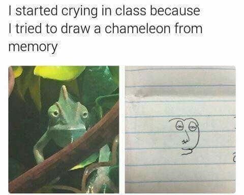 chameleon+from+memory