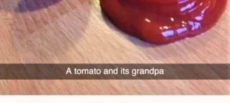 tomato+generations