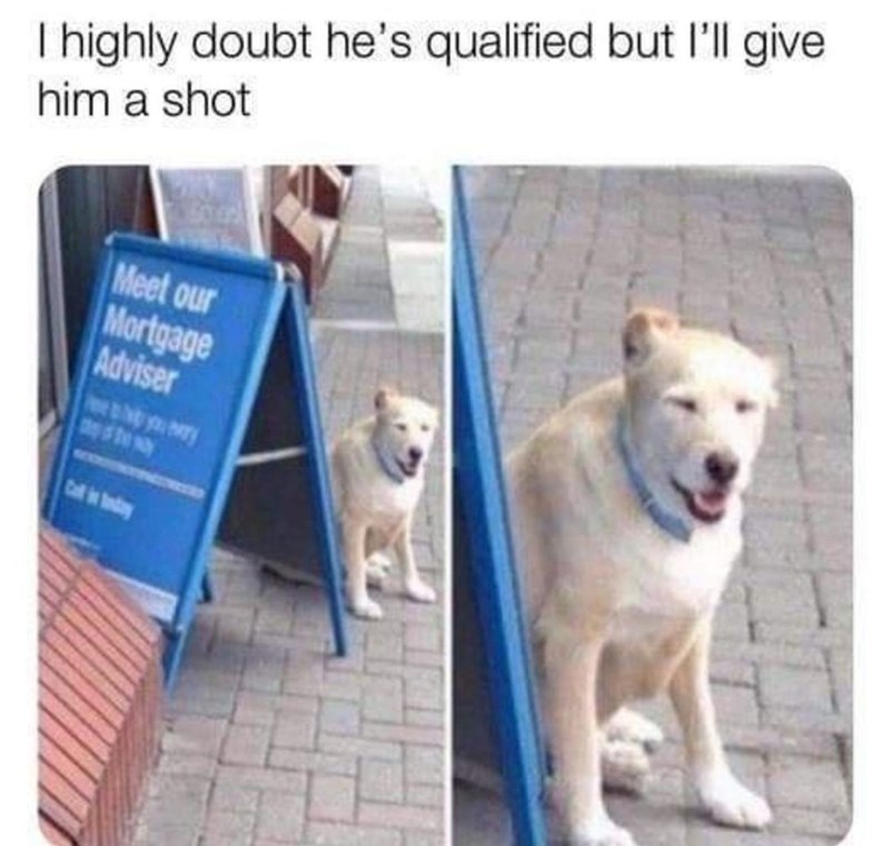 he%26%238217%3Bs+the+most+qualified