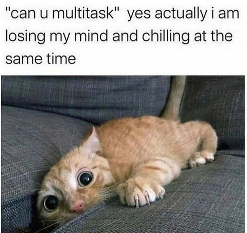 i%26%238217%3Bm+multi-tasking+right+meow