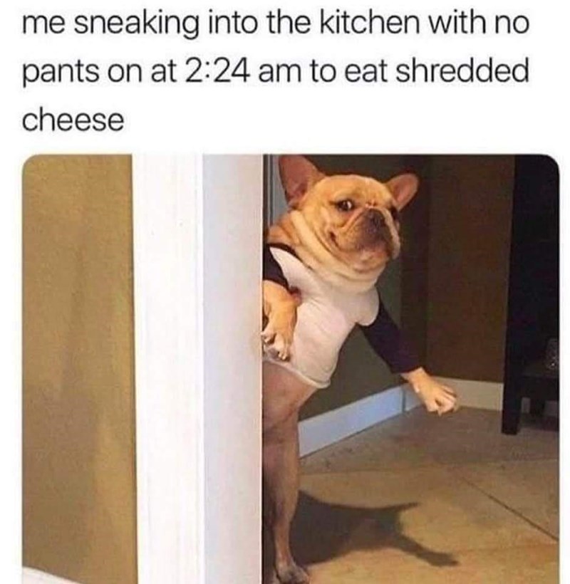 the+freedom+of+living+alone