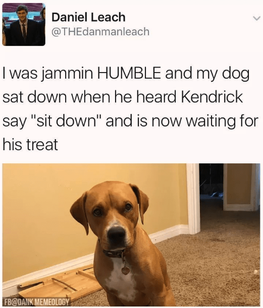give+him+his+treat