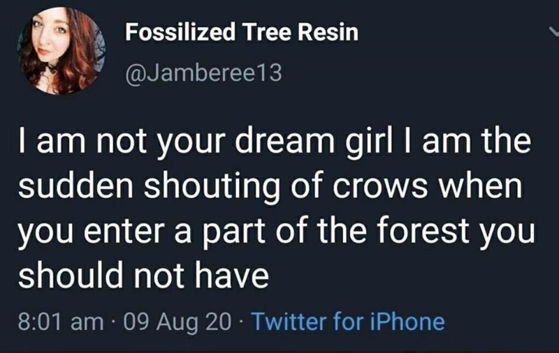 turn+around%2C+for+your+own+safety