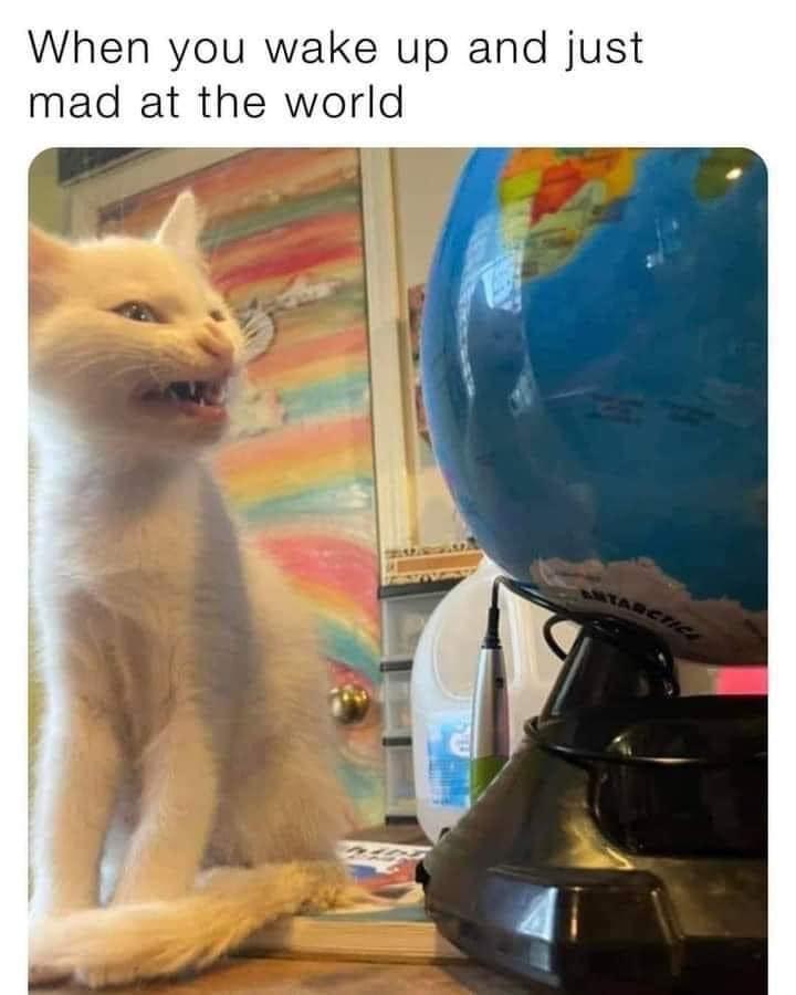 back+to+sleep+it+is%21