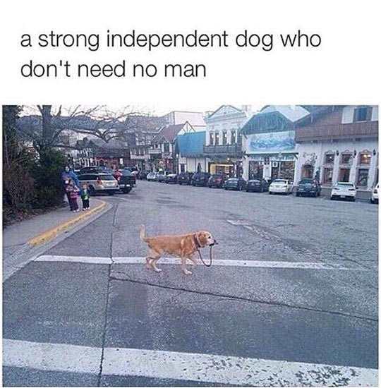 it+can+walk+itself%21