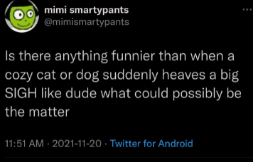 well%2C+since+you+asked