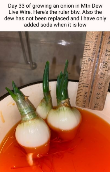 wonder+what+they%26%238217%3Bll+taste+like