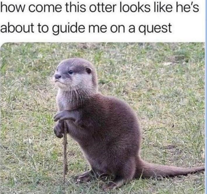 do+you+accept+his+quest%3F