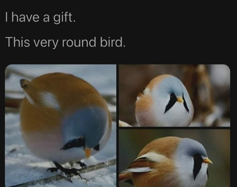 please+enjoy+this+gift