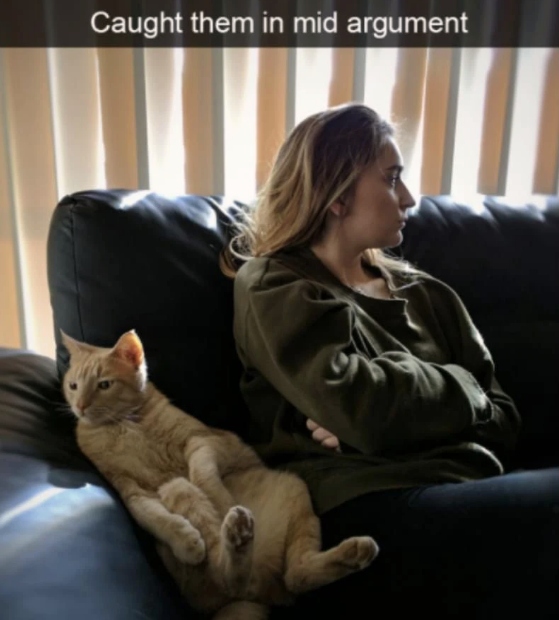 the+never+ending+battle