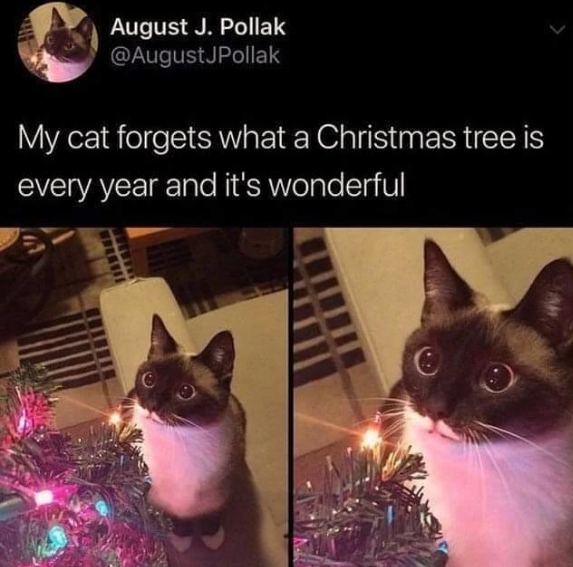 true+christmas+magic