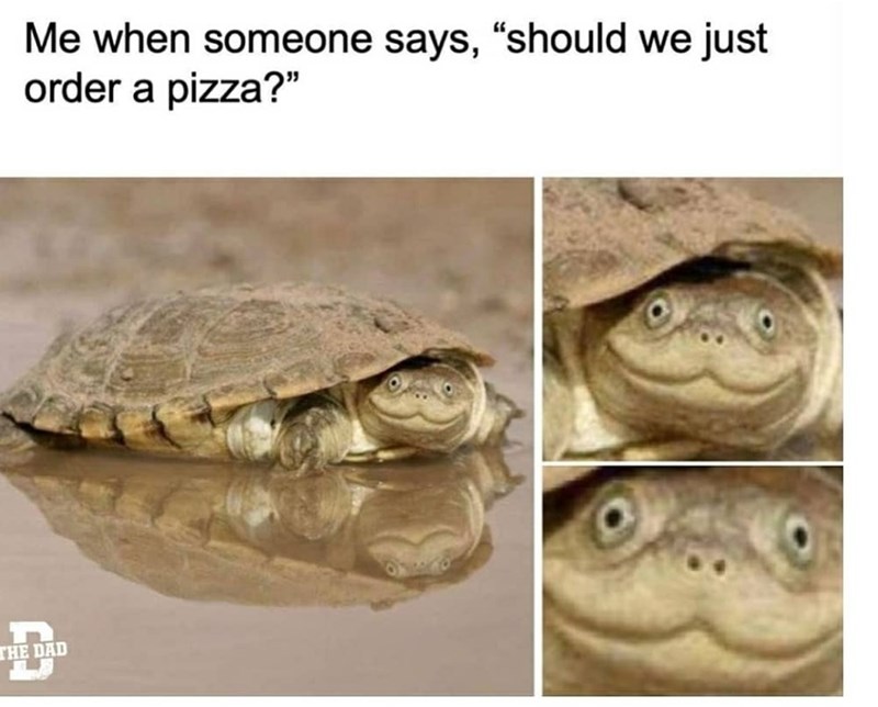 the+answer+is+always+yes