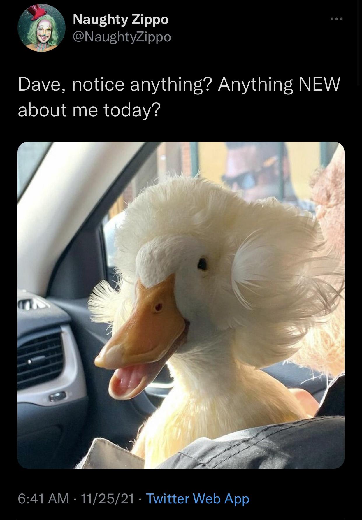 di+you+get+a+haircut%3F