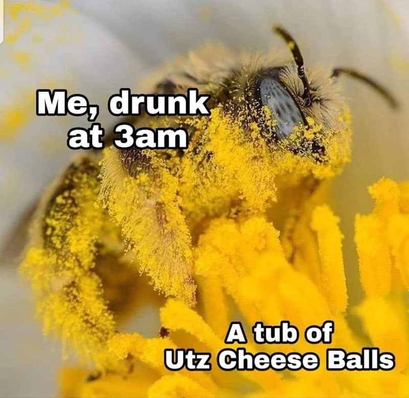 there+was+no+other+option