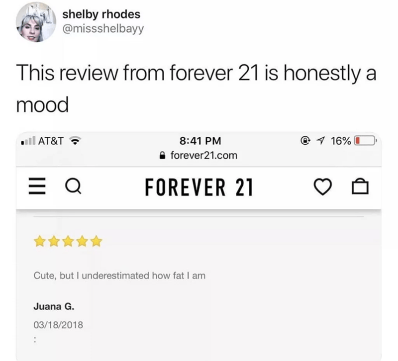 the+diet+starts+never