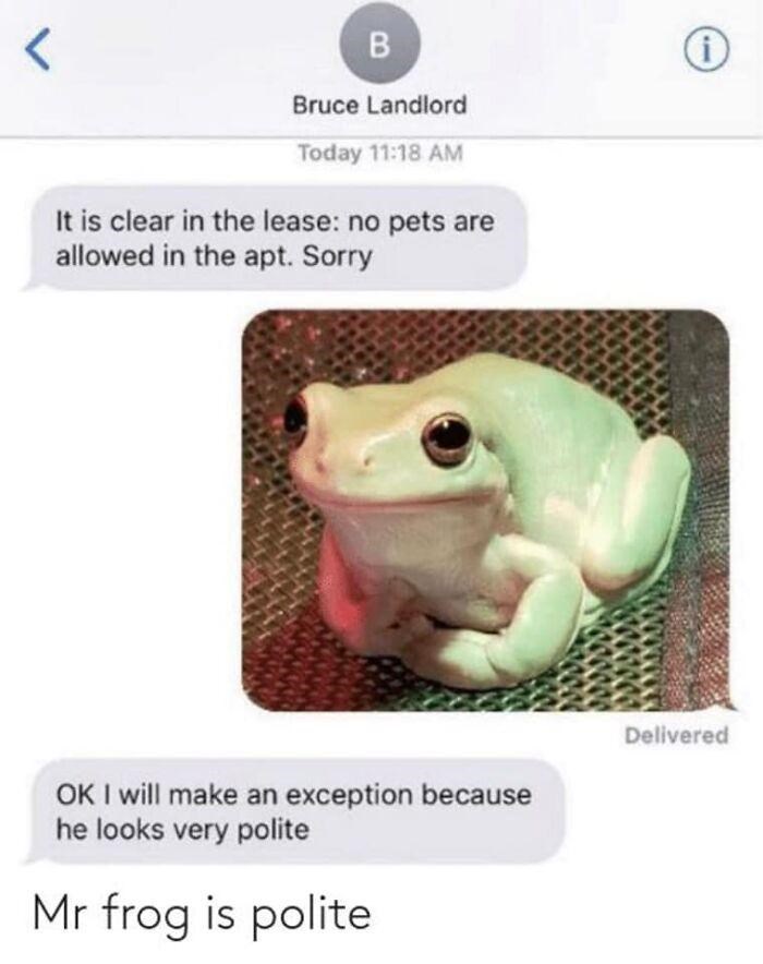 gentleman+frog