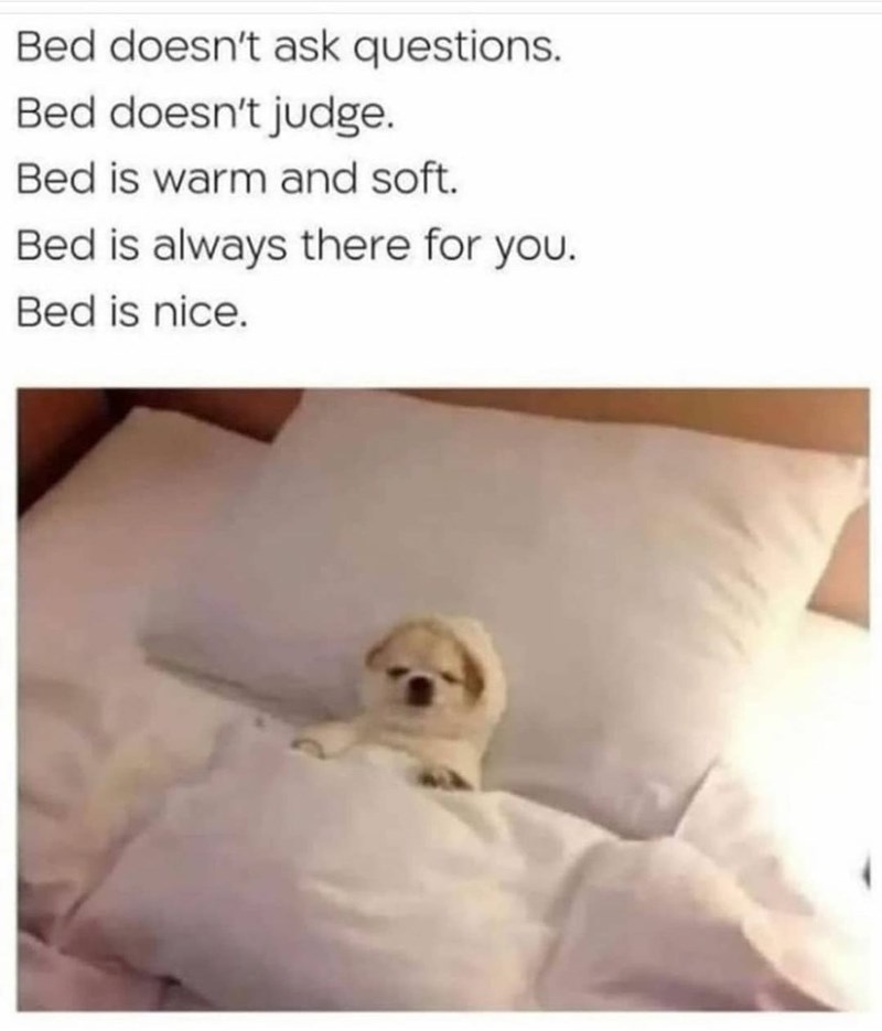 bed+is+best