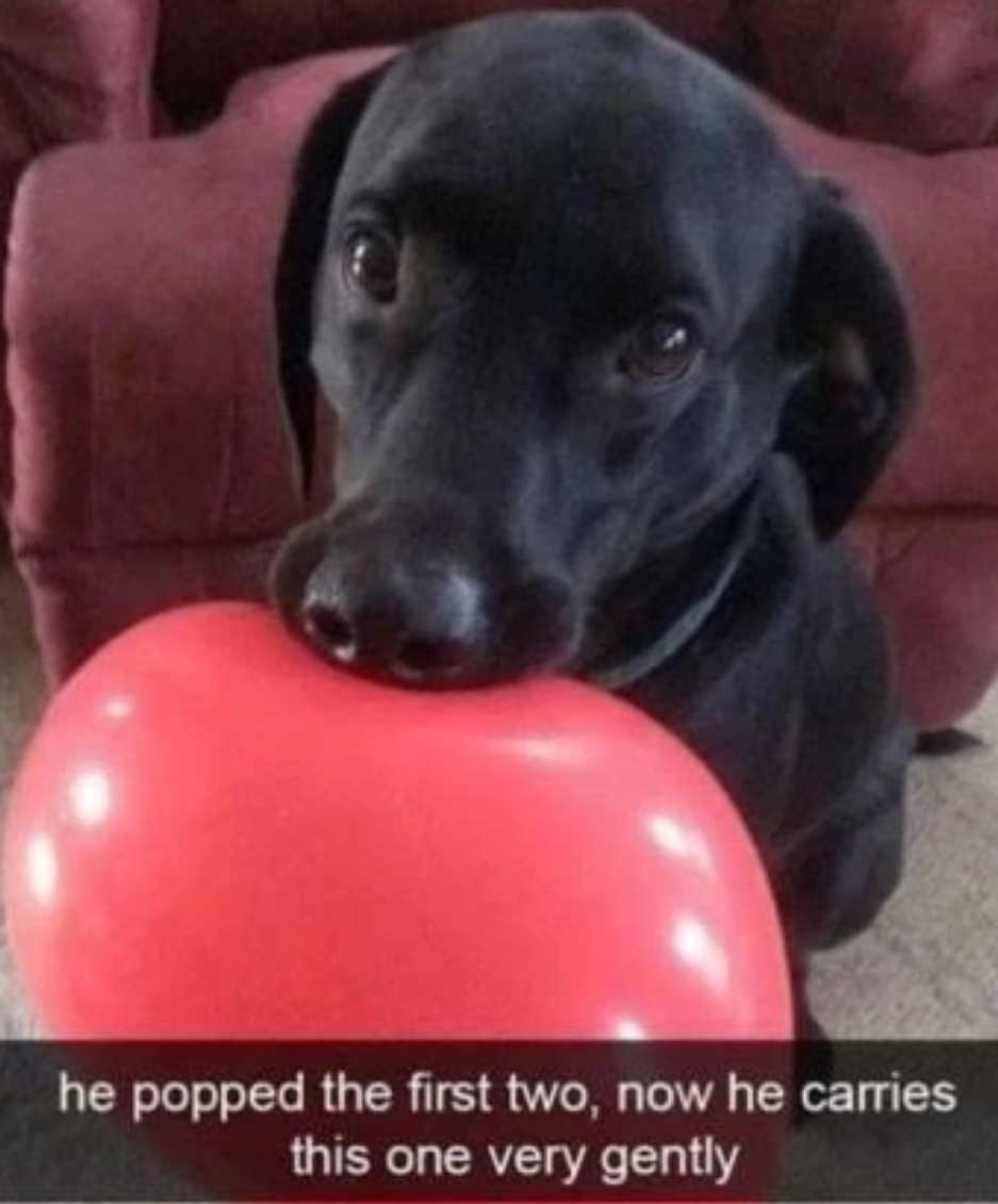 he+learned+his+lesson+the+hard+way