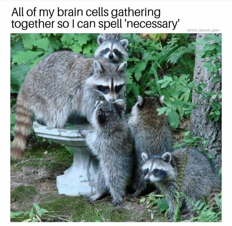 some+words+just+suck