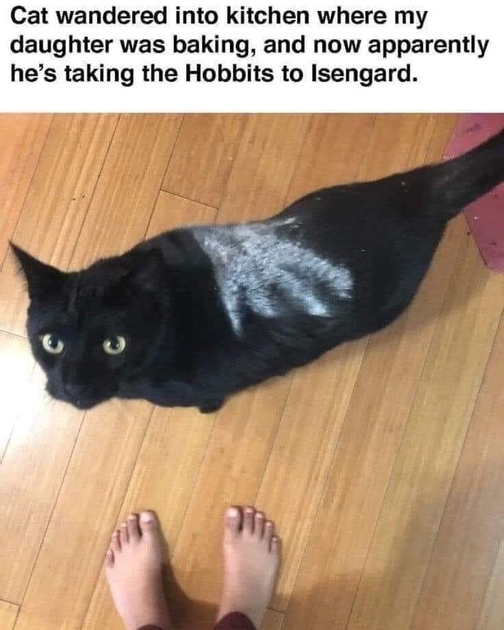 he%26%238217%3Bs+going+on+an+adventure