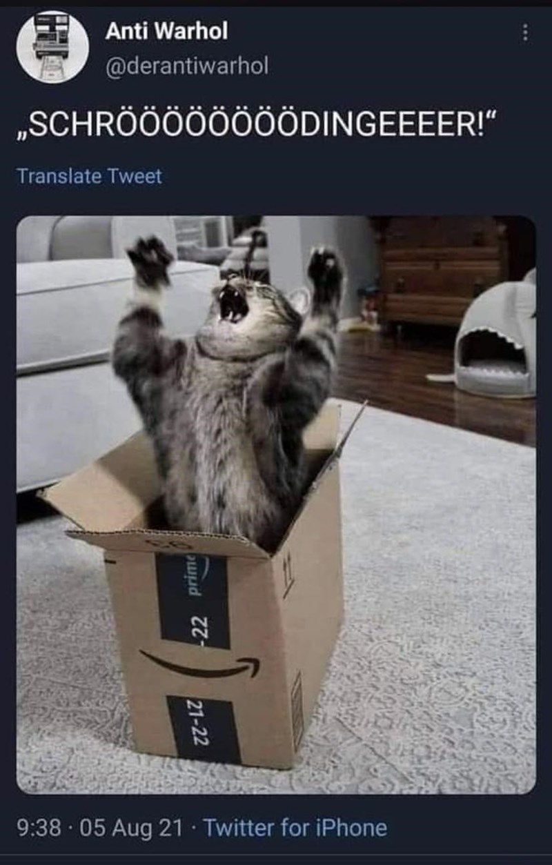 it+was+in+the+box+the+whole+time