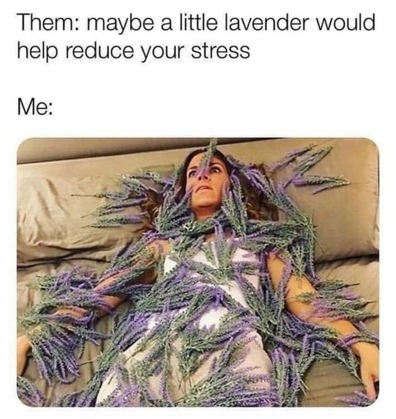 a+little+lavendar
