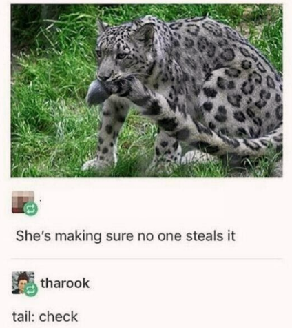 no+one+can+take+her+tail