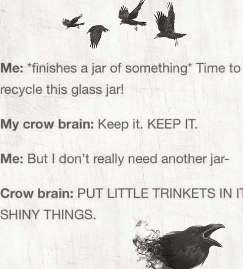 my+crow+brain
