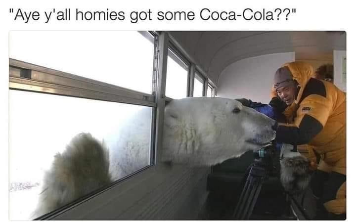 polar+bears+love+coca+cola
