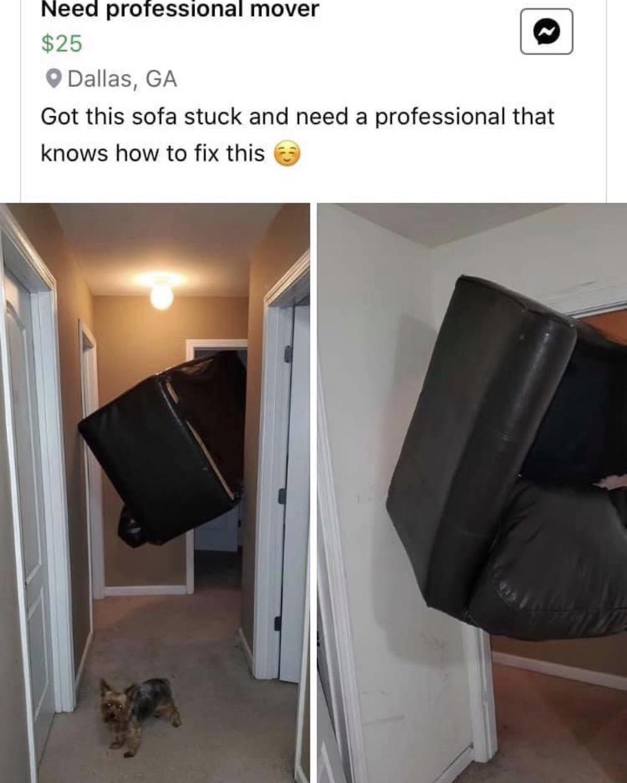 the+sofa+got+stuck