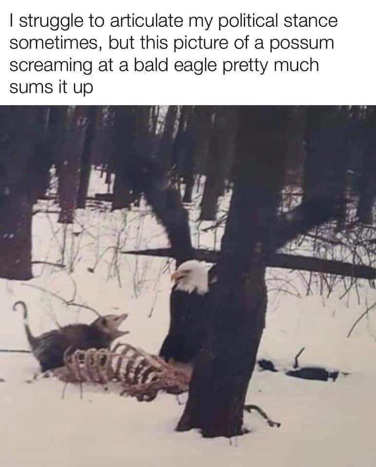 it+gets+the+point+across