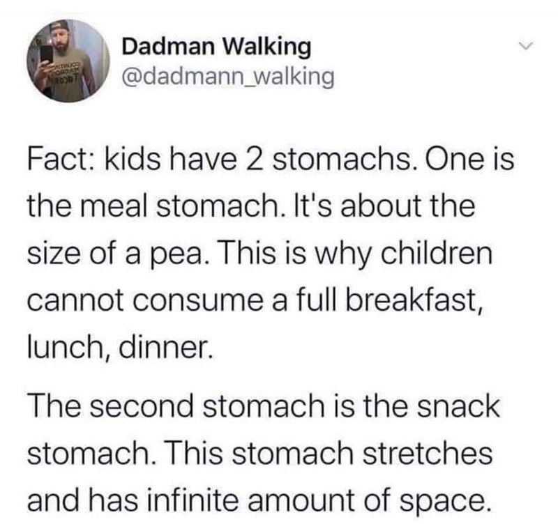the+snack+stomach+is+infinite