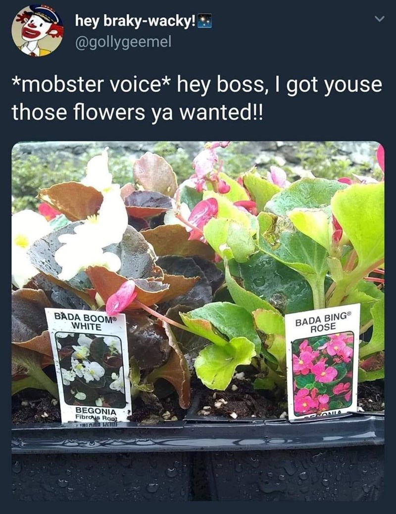 it%26%238217%3Bs+a+hit%21