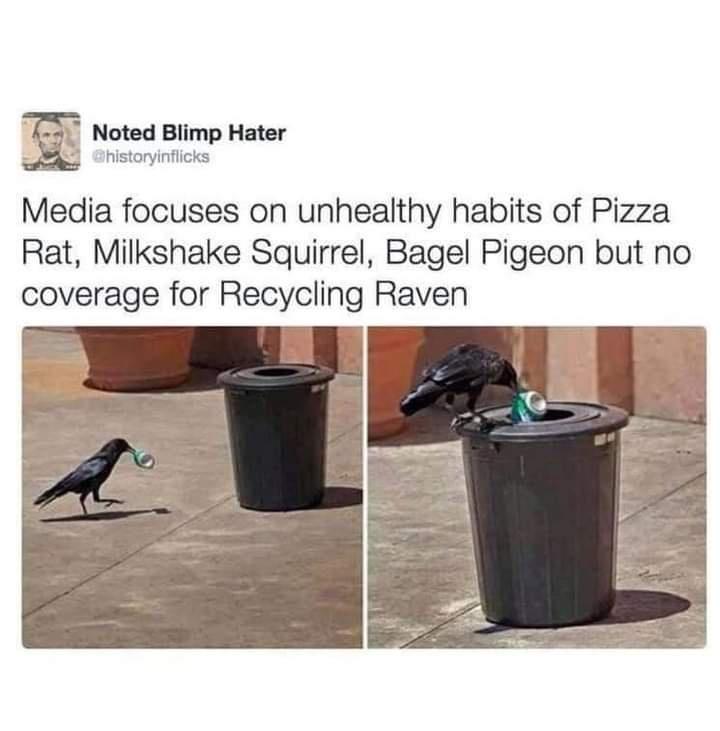 we+don%26%238217%3Bt+deserve+ravens