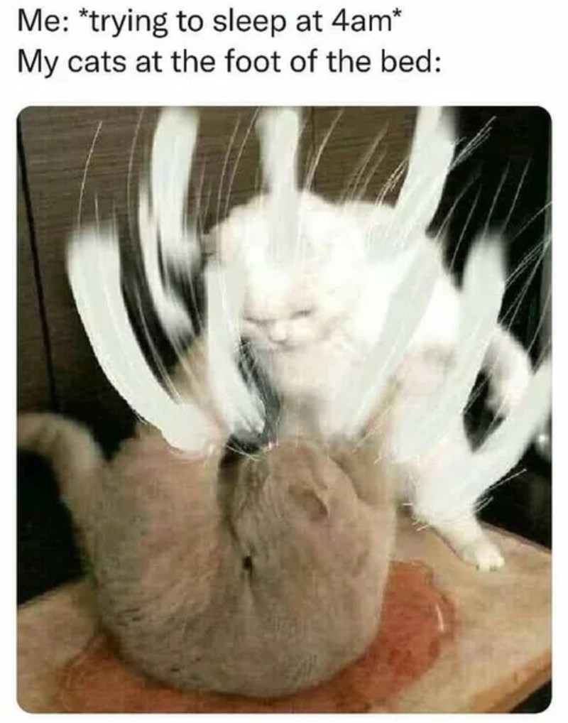 a+simple+disagreement