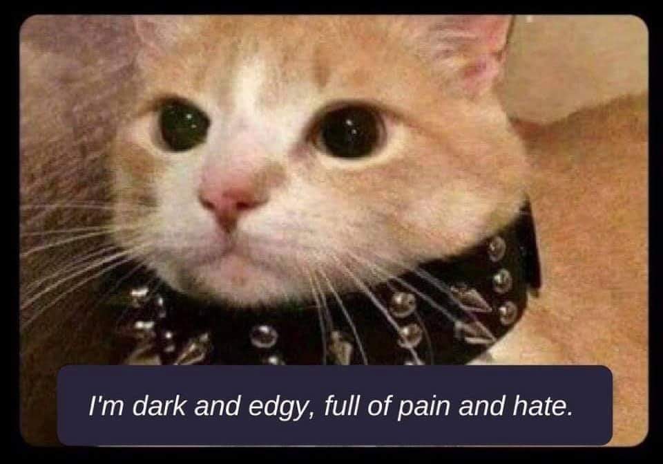 there+is+no+light+in+my+darkness