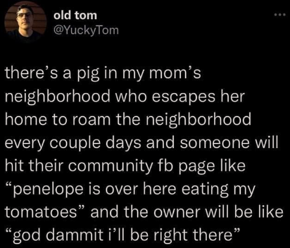 penelope+refuses+to+be+contained