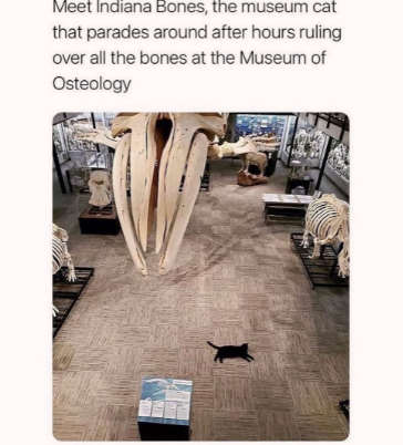 the+movie+makes+itself