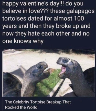 i+guess+love+doesn%26%238217%3Bt+last+forever