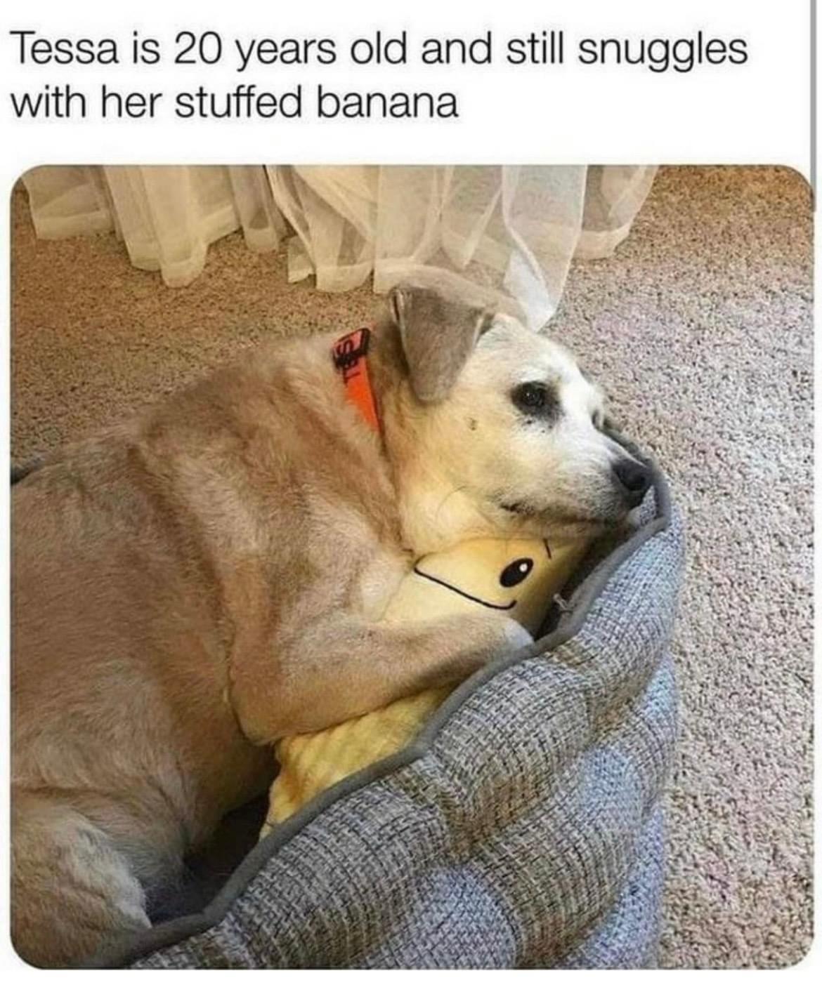 banana+snuggler
