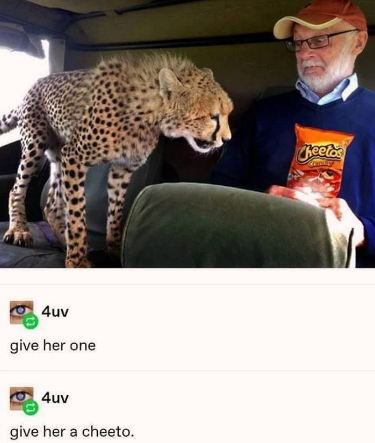 she+deserves+a+cheeto