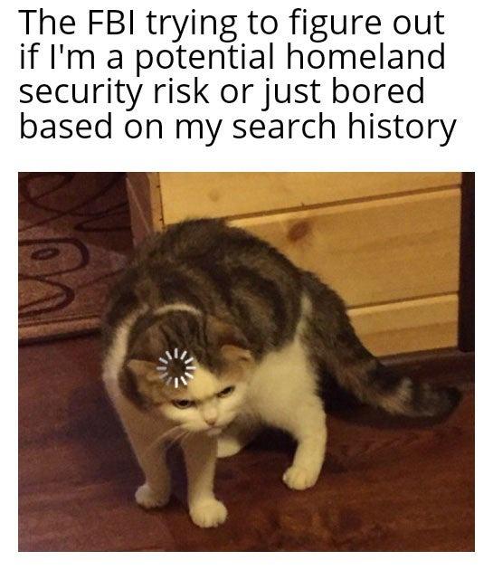 maybe+i%26%238217%3Bm+both