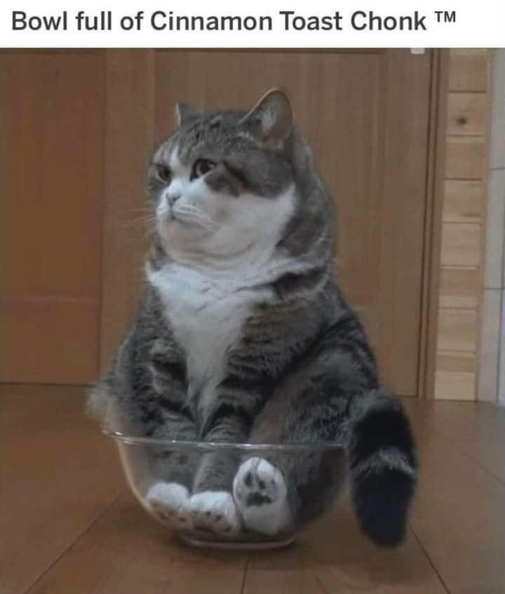 cinnamon+toast+chonk