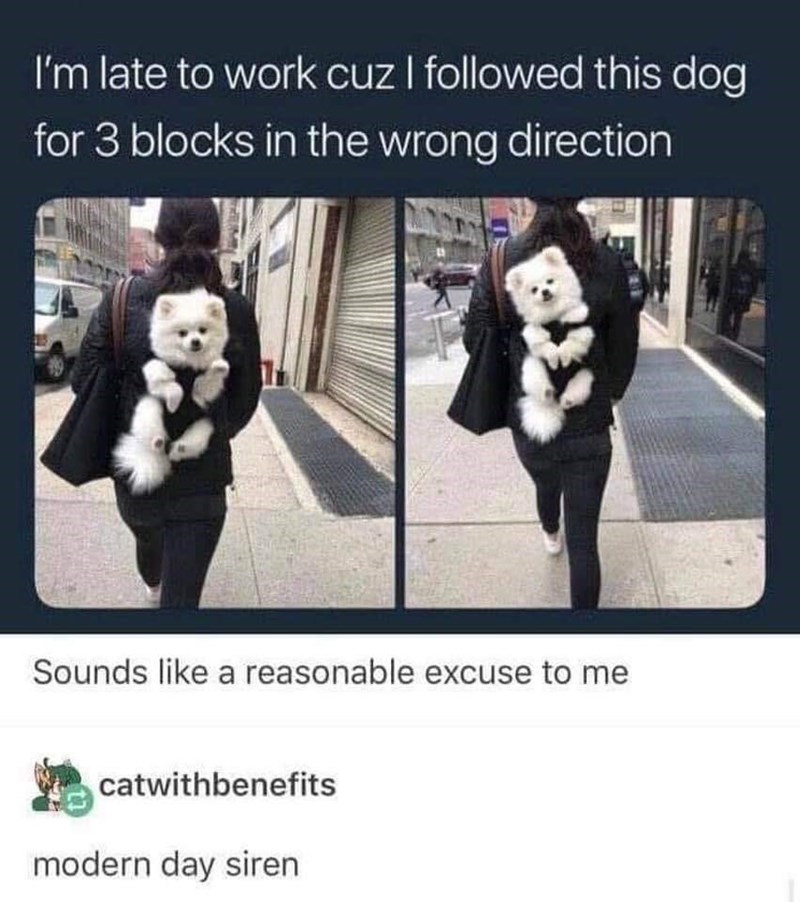 a+valid+excuse+to+be+late