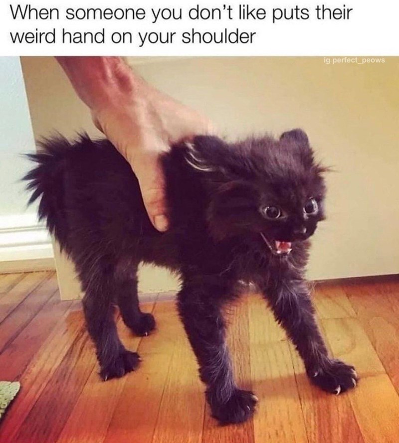 an+enemy+has+been+made