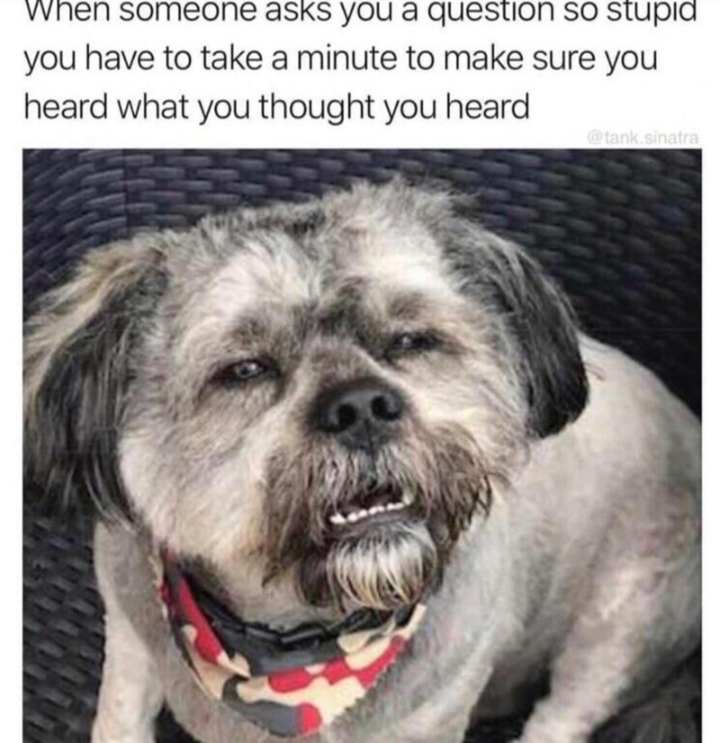 please+repeat+the+question